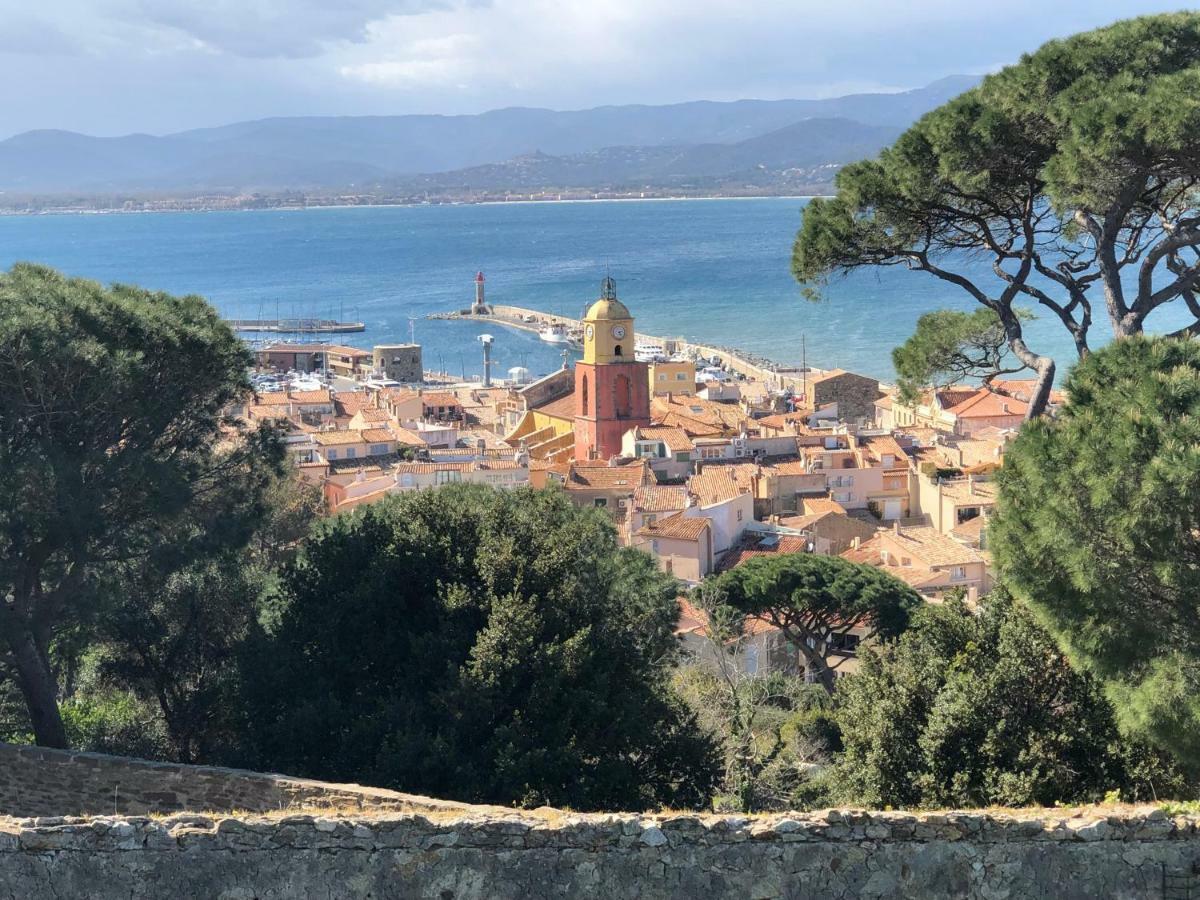 Villa Patrimoine Les Issambres Bagian luar foto